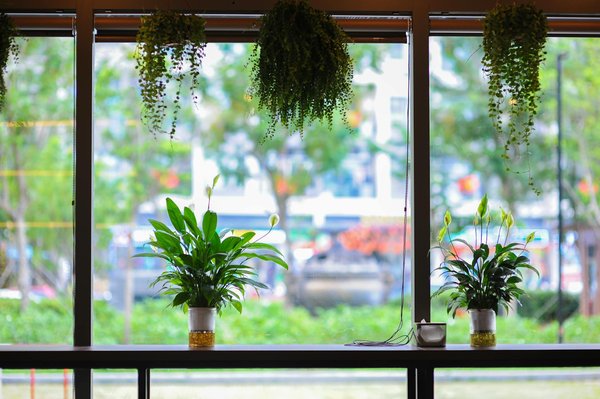 Bibliothèques 2.0 : catalyseurs d'innovation numérique pour la jeunesse