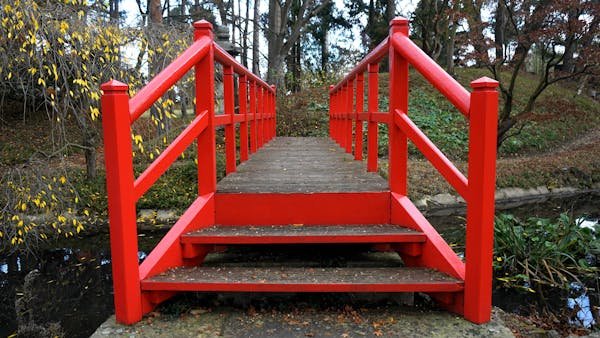 Actualités diversifiées sur la petite nation : explorez-les !